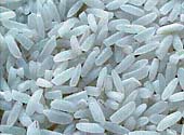 Thứ trưởng Phùng Đức Tiến kỳ vọng về Khoán 10 mới trong chỉnh sửa gen nông nghiệp - Ảnh 2.