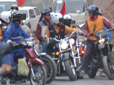 tô bảo đồng