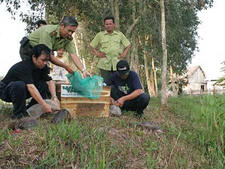 Thả 8 c&aacute; thể động vật nguy cấp, qu&yacute; hiếm về tự nhi&ecirc;n - Ảnh 2.