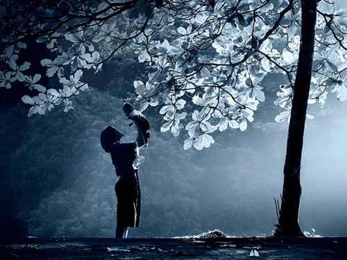 “Sao” tự hào là single mum, mình cũng có thể chứ!