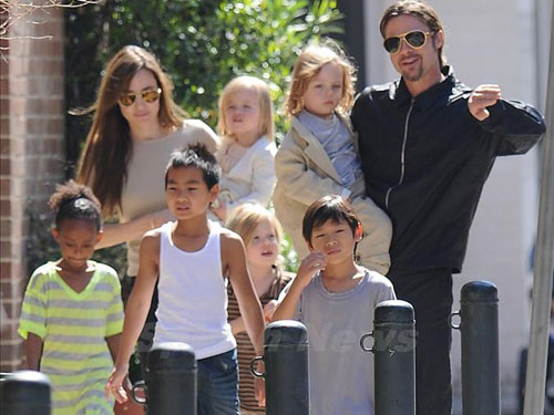 Brad Pitt học làm bếp