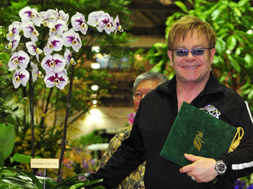 Ngắm hoa lan mang tên danh ca Elton John
