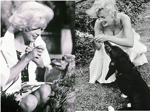Ngắm "bom sex" Marilyn Monroe ngọt ngào
