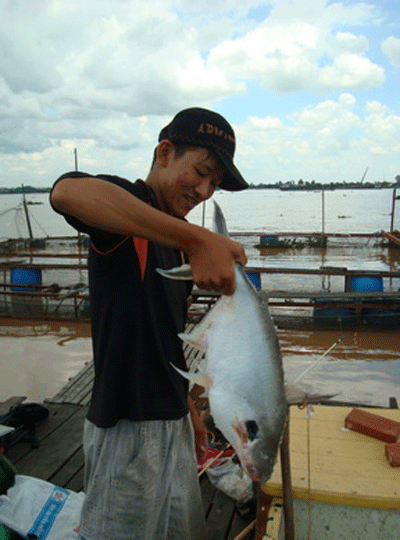 Câu Cá Sông Tiền - Báo Người Lao Động