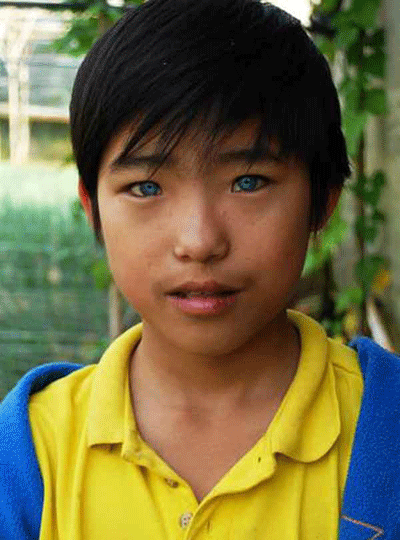 Đà Lạt cậu bé có đôi mắt xanh là một bức ảnh tuyệt đẹp cho thấy sự độc đáo và quyến rũ của thiên nhiên. Bức ảnh này giúp cho người xem cảm nhận được tình yêu và sự giản đơn của cuộc sống, khi thưởng thức vẻ đẹp của thiên nhiên qua mắt của một cậu bé nhỏ.