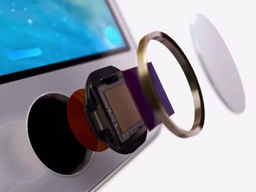 Apple đăng ký bằng sáng chế cho Touch ID