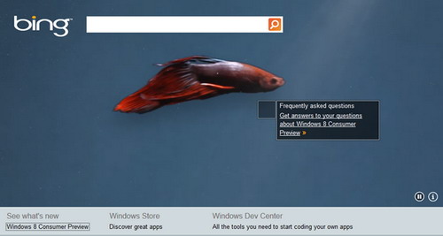 Bing giúp tìm hiểu về Windows 8 Consumer Preview