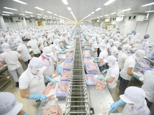 Chen chúc trong những xưởng chế biến thủy sản