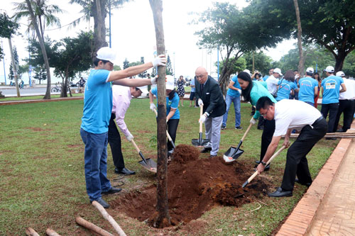 Một trong những hoạt động của chương trình “Vì môi trường xanh quốc gia năm 2015”Ảnh: TTXVN