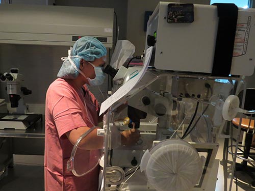 Thực hiện kỹ thuật thụ tinh trong ống nghiệm tại phòng xét nghiệm của Khoa Hiếm muộn, Bệnh viện Từ Dũ