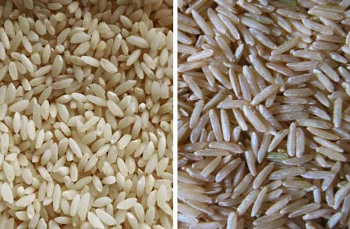 Các loại gạo basmati Ảnh: WIKIPEDIA