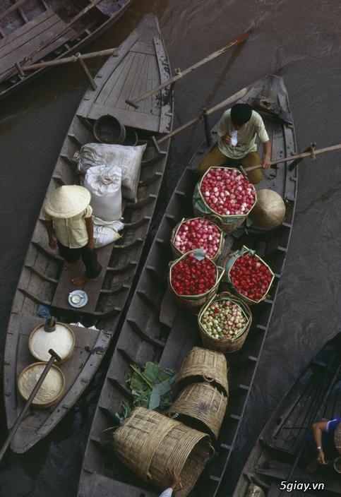 
Ghe, thuyền chở đầy gạo và hoa quả đưa tới tay người tiêu dùng.
