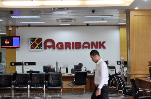 Việc hàng loạt cán bộ Agribank bị xử lý hình sự, đã phát sinh tâm lý hoang mang lo sợ, làm cho số lao động bỏ việc ngày càng tăng.