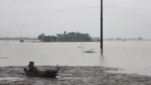
Mưa lớn khiến nước lũ trên các sông ở hai tỉnh Nghệ An và Hà Tĩnh dâng cao
