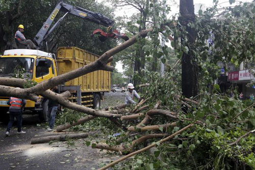Cây cối ngã đổ hàng loạt ở TP Đài Bắc - Đài Loan hôm 29-9 Ảnh: Reuters