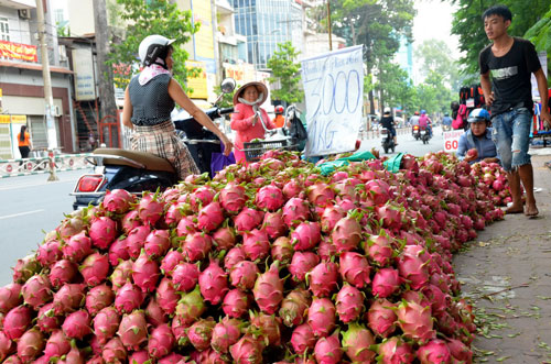 Thanh long đổ đống bán trên lề đường Lý Thường Kiệt, quận 11, TP HCM Ảnh: Tấn Thạnh