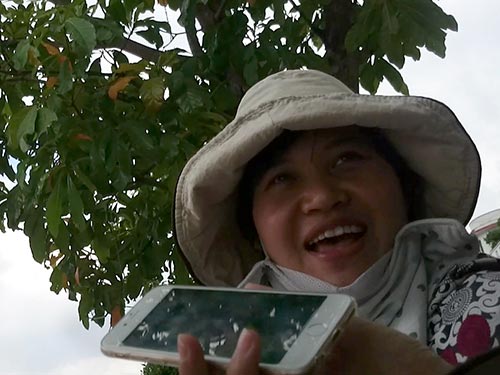 Ở phố đi bộ Nguyễn Huệ, bà Hoa đang mời “con mồi” mua chiếc điện thoại dỏm với giá 5 triệu đồng