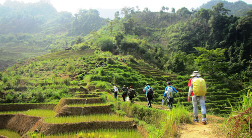 
Con đường dẫn lên núi với những thửa ruộng bậc thang tuyệt đẹpẢnh: Hoàng Thanh
