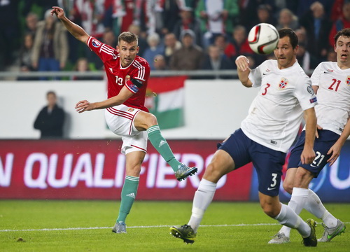Tamas Priskin mở tỉ số từ phút 14 cho Hungary