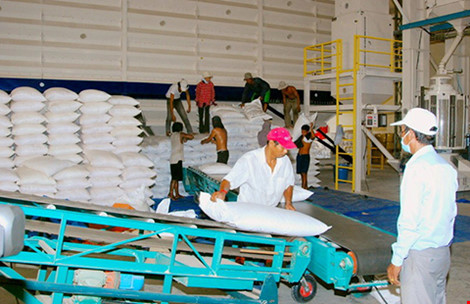 
Nhà máy chế biến, xuất khẩu gạo của Công ty Lương thực Việt Nam - Campuchia tại Campuchia. Ảnh: CTV
