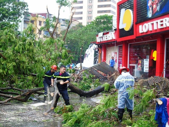 
Hàng ngàn cây xanh tại Hà Nội đổ sau cơn bão số 1 - Ảnh: Văn Duẩn
