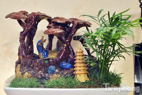 
Những cây nấm linh chi bonsai này có xuất xứ từ Hàn Quốc và tương đối khó trồng trong điều kiện thời tiết Việt Nam. Vì thế, giá của mỗi cây nấm linh chi bonsai dao động từ vài trăm nghìn đến vài triệu đồng tùy theo kích thước.
