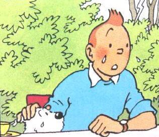 
Tintin đang khóc trở thành biểu tượng chia sẻ nỗi đau với nước Bỉ trên khắp thế giới. Ảnh: Twitter

