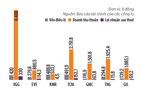 
Một số chỉ tiêu tài chính năm 2015 của các công ty dệt may trên sàn chứng khoán
