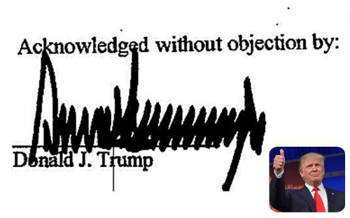 Chữ ký ứng viên tổng thống Mỹ Donald Trump. Ảnh: Telegraph