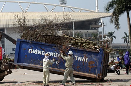 
Những cành đào cùng với cọc tre để dựng đứng những cành đào trong hội chợ cũng được thu gom. Một công nhân cho biết: bắt đầu từ sáng 7-2 họ đã được lệnh phải ra thu gom đào, cùng với những vật dụng do người bán đào để lại.
