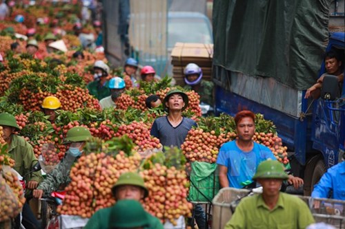 
Giờ cao điểm, ngay cả xe máy cũng phải đứng chôn chân hàng giờ. (Ảnh: Minh Sơn/Vietnam+)
