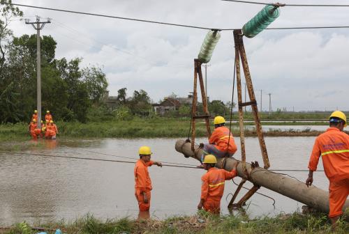 
Công nhân Công ty ĐIện lực Nam Định (Tổng công ty Điện lực miền Bắc) khắc phục các sự cố về điện do cơn bão số 1 gây ra - Ảnh: TTXVN.
