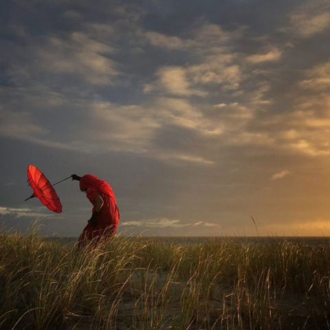 3. Bức ảnh Bends with the Wind (tạm dịch là Cuốn theo chiều gió) của tác giả Robin Robertis ở Hoa Kỳ đã giành giải nhì. 