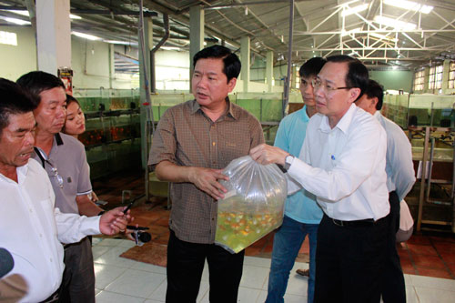 Bí thư Đinh La Thăng thăm Công ty CP Sài Gòn Cá Kiểng trong chuyến làm việc tại huyện Củ Chi sáng 21-5 Ảnh: Quốc Chiến