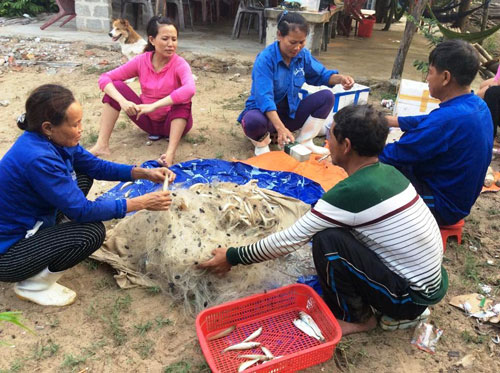 Ngư dân Quảng Bình gom cá chết bán cho thương lái Ảnh: Hoàng Phúc