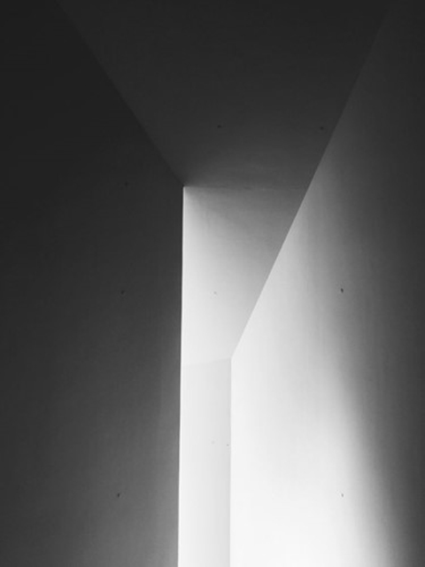 Ảnh 5.
