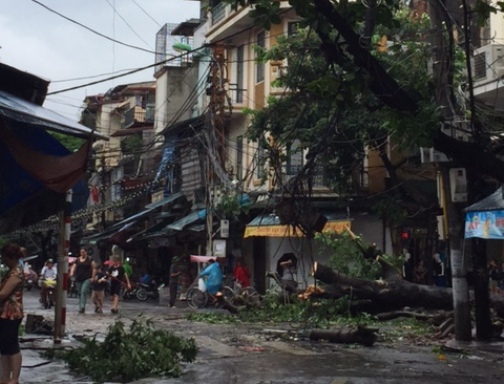 
Cách đó chưa đến 200 m, gần ngã tư Lãn Ông - Hàng Ngang cũng có cây to và cột điện đổ chờ được thu dọn
