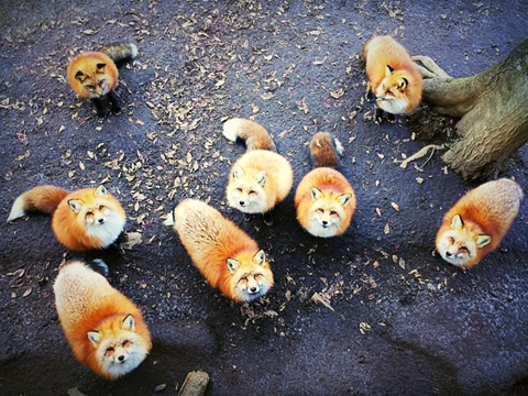 Ảnh 7