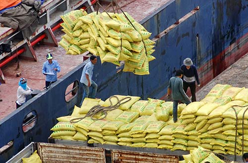 Bốc dỡ hàng hóa ở cảng Lotus Ảnh: Tấn Thạnh