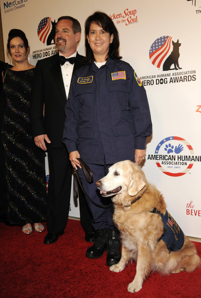 
Bretagne tại lễ trao giải Chú chó anh hùng của Hiệp hội Nhân đạo Mỹ năm 2014. Ảnh: AP

