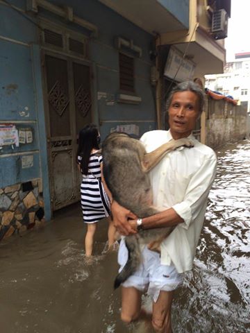 ... và cưng chiều thú cưng