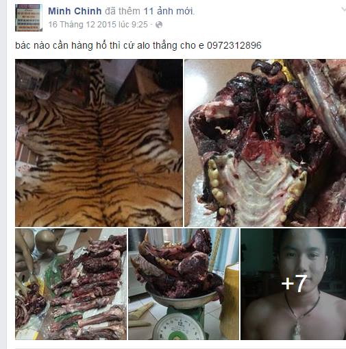 Trên Facebook của thanh niên tên là Minh Chinh đăng công khai hình ảnh rao bán hổ, gấu sau khi xẻ thịt