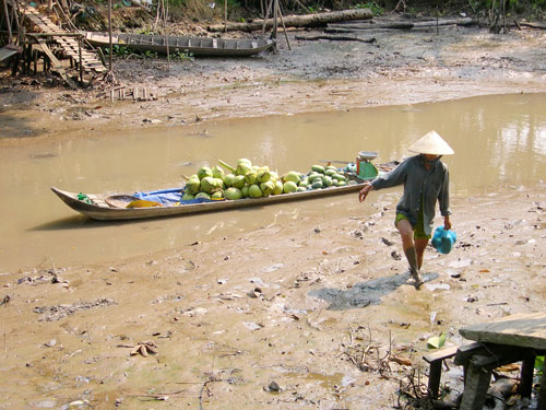 Một con kênh ở tỉnh Hậu Giang đã cạn nước - Ảnh: NGỌC TRINH