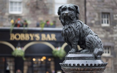 
Tượng của chú chó Greyfriars Bobby đặt tại TP Edinburgh - Scotland. Ảnh: Rex Features
