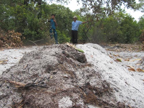 Người dân đốt cây, lập mộ gió trong rừng Trung Sơn Ảnh: Quang Quý