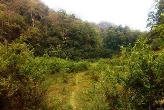 Đường vào bản Kịt phải đi bộ nhiều km đường rừng nên công tác cứu hộ gặp nhiều khó khăn