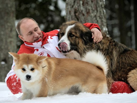 
Tổng thống Nga Vladimir Putin. Ảnh: AP
