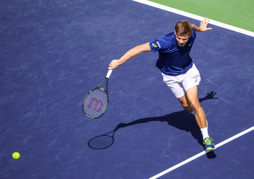 David Goffin dừng chân ở bán kết