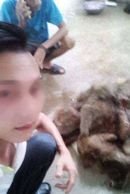 
Hình ảnh những cá thể khỉ bị giết dã man được nam thanh niên chụp đưa lên mạng xã hội để ra oai với bạn bè
