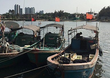 Trung Quốc có kế hoạch cắt giảm lượng tàu cá để bảo vệ nguồn thủy sản. Ảnh: Reuters